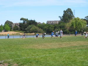 Bayfront Park (1)