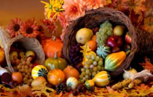 thanksgiving2